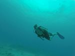 Hawaii Scuba divng 59