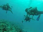 Hawaii Scuba divng 60