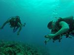 Hawaii Scuba divng 61