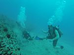Hawaii Scuba divng 64