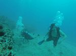 Hawaii Scuba divng 65