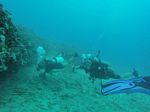 Hawaii Scuba divng 68