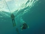 Hawaii Scuba divng 06