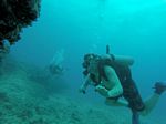 Hawaii Scuba divng 70