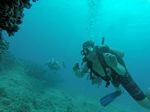 Hawaii Scuba divng 71