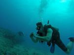 Hawaii Scuba divng 72