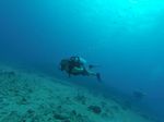 Hawaii Scuba divng 74