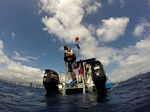 Hawaii Scuba divng 77