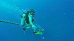 Hawaii Scuba divng 79