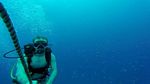 Hawaii Scuba divng 81