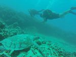 Hawaii Scuba divng 12