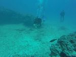 Hawaii Scuba divng 13