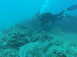 Hawaii Scuba divng 15