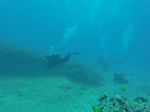 Hawaii Scuba divng 16