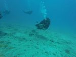 Hawaii Scuba divng 18