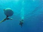 Hawaii Scuba divng 01