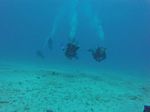 Hawaii Scuba divng 22