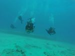 Hawaii Scuba divng 23