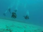 Hawaii Scuba divng 24