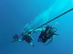 Hawaii Scuba divng 28