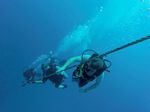 Hawaii Scuba divng 29