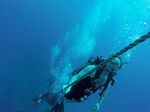 Hawaii Scuba divng 31