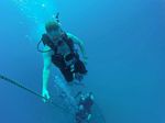 Hawaii Scuba divng 32