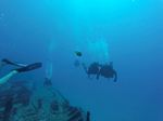 Hawaii Scuba divng 37