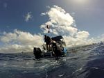 Hawaii Scuba divng 39