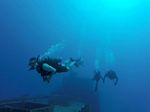 Hawaii Scuba divng 45