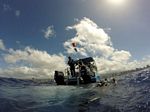 Hawaii Scuba divng 51