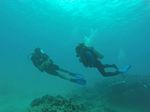 Hawaii Scuba divng 05