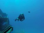 Hawaii Scuba divng 64