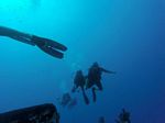 Hawaii Scuba divng 70