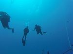 Hawaii Scuba divng 76