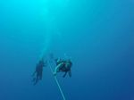 Hawaii Scuba divng 79