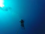 Hawaii Scuba divng 80