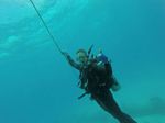 Hawaii Scuba divng 82