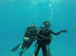 Hawaii Scuba divng 84