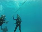 Hawaii Scuba divng 88