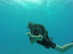 Hawaii Scuba divng 89