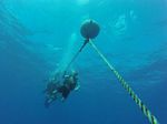 Hawaii Scuba divng 90