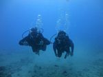 Hawaii Scuba divng 11