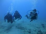 Hawaii Scuba divng 12