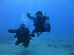 Hawaii Scuba divng 13