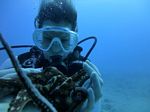 Hawaii Scuba divng 20