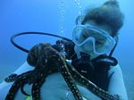 Hawaii Scuba divng 21