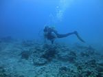 Hawaii Scuba divng 26