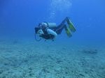 Hawaii Scuba divng 27