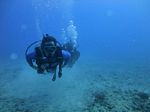 Hawaii Scuba divng 28